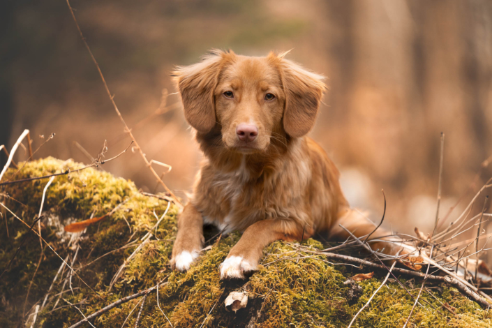 AnnemarieJaeger_portrait_001