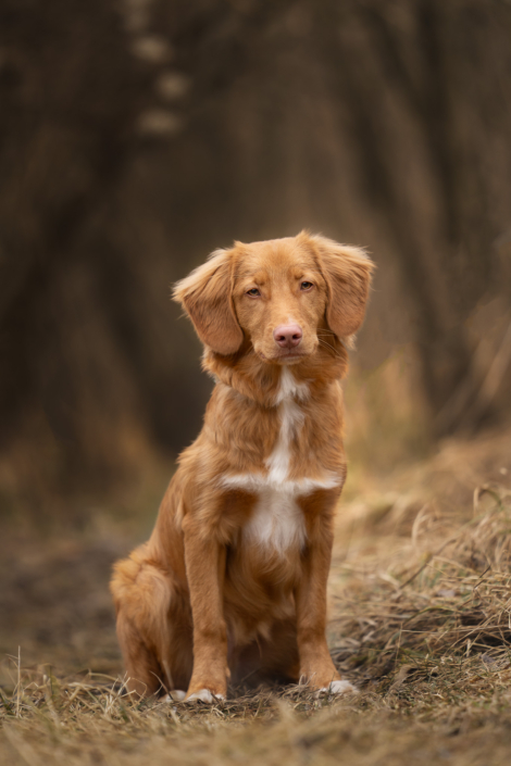AnnemarieJaeger_portrait_004