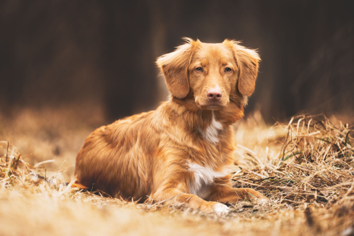AnnemarieJaeger_portrait_005