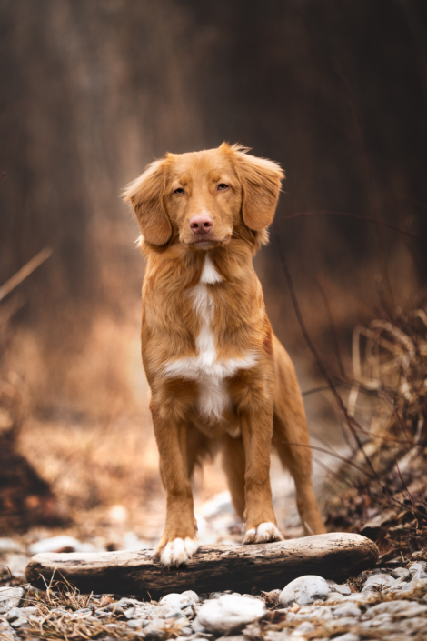 AnnemarieJaeger_portrait_006