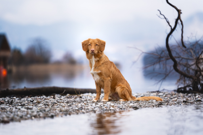 AnnemarieJaeger_portrait_007