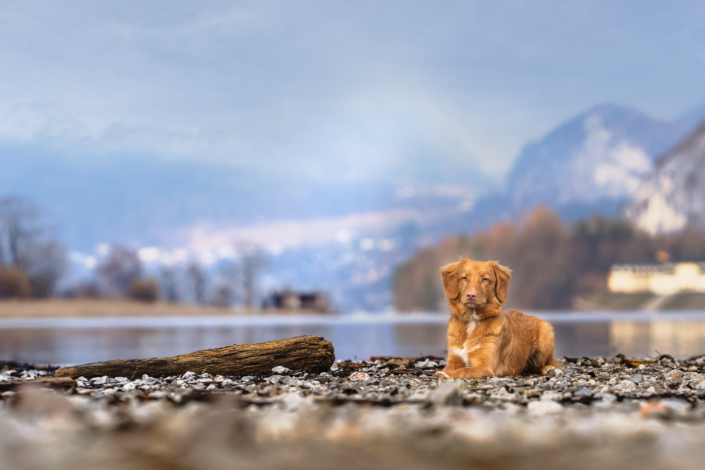 AnnemarieJaeger_portrait_008