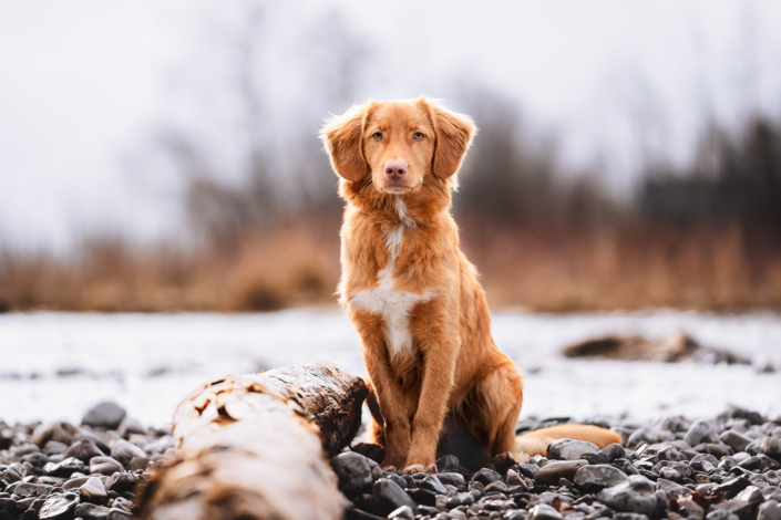 AnnemarieJaeger_portrait_009