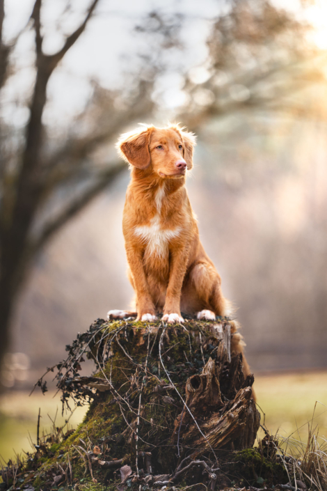 AnnemarieJaeger_portrait_011